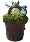 ������������ ������� Totoro 22782