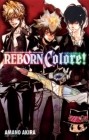Official Visual Book Reborn Colore!